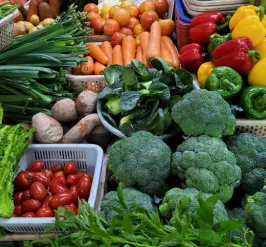 a picture of a variety of vegetables 