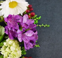 Flowers on top of a purple background 