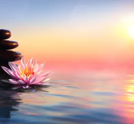 a peaceful stack of rocks and flower sitting on top of water