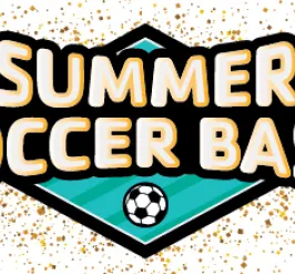 Summer Soccer Bash icon