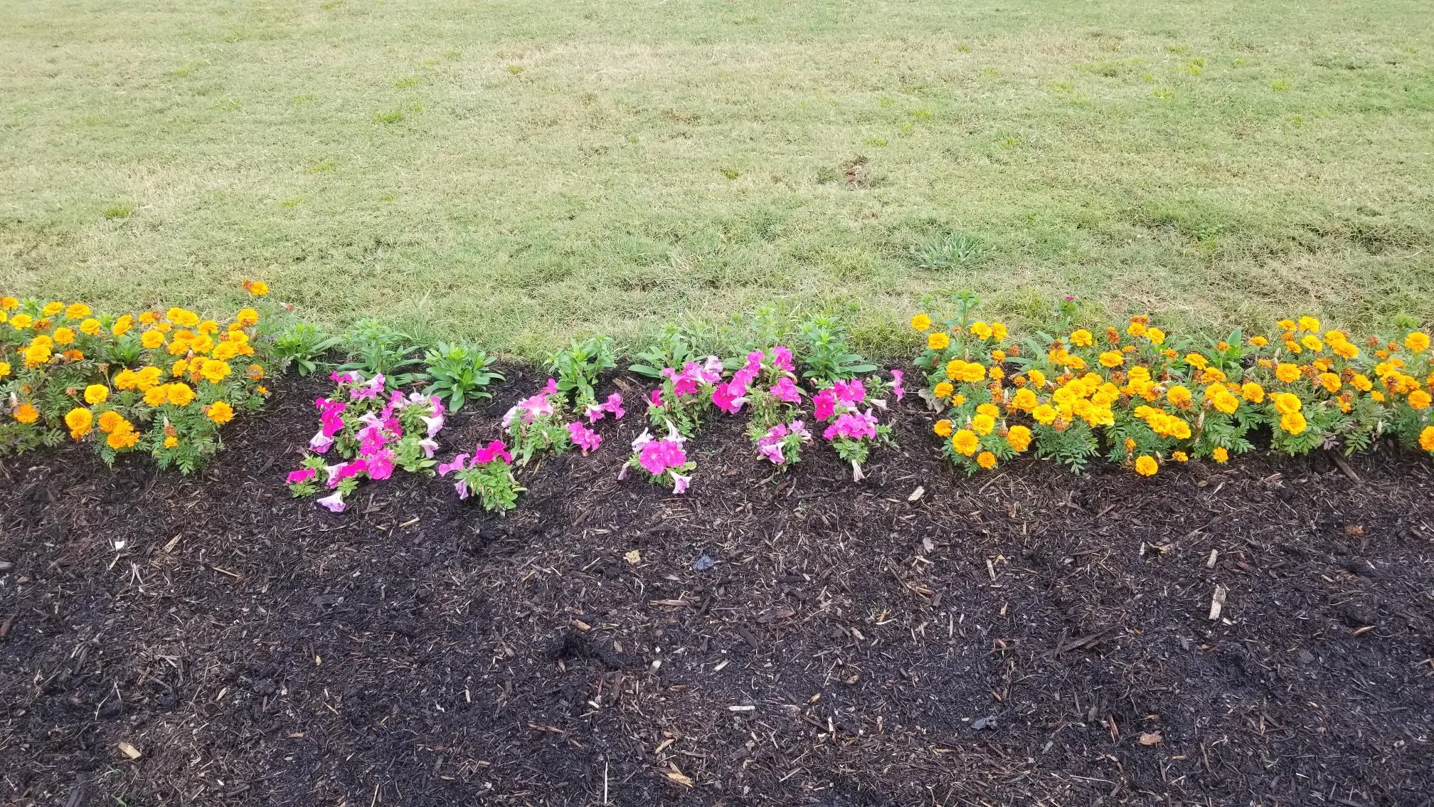 Community Garden